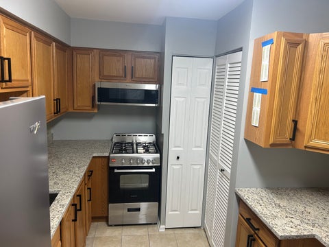 Tiny photo for Lisle, IL 60532 (MLS # 12769878)