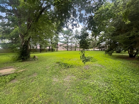Tiny photo for 702 S Main Street, Homer, IL 61849 (MLS # 12712804)