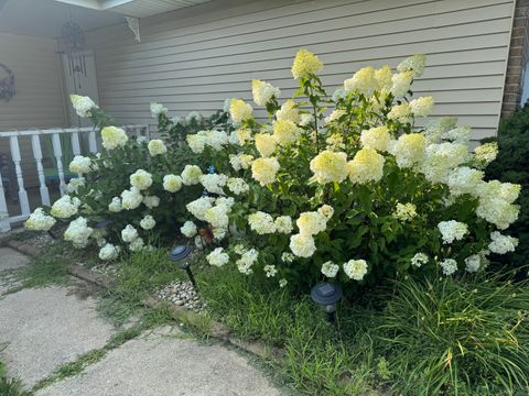 Tiny photo for 641 N Jackson Avenue, Bradley, IL 60915 (MLS # 12436958)