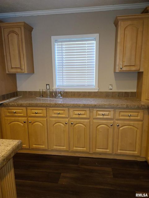 Tiny photo for 16035 Caplinger Pond Road, Marion, IL 62959 (MLS # EB459695)