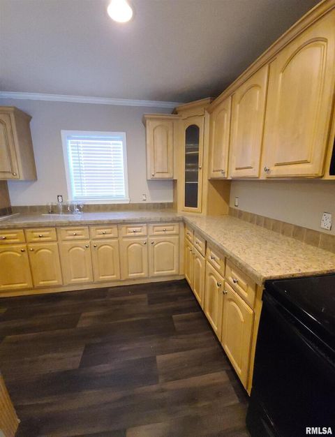 Tiny photo for 16035 Caplinger Pond Road, Marion, IL 62959 (MLS # EB459695)