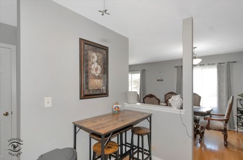 Tiny photo for 210 Mill Stream Drive, Bolingbrook, IL 60440 (MLS # 12458554)