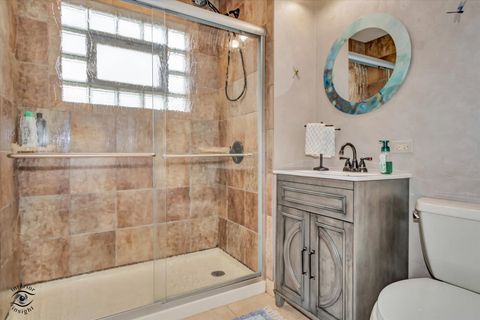 Tiny photo for Chicago, IL 60655 (MLS # 12535457)