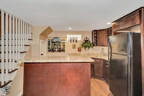 Tiny photo for Chicago, IL 60655 (MLS # 12535457)