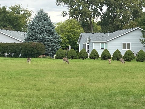 Tiny photo for 30 S Walnut Drive, North Aurora, IL 60542 (MLS # 12778338)