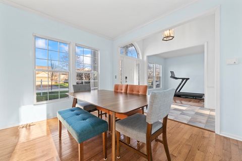 Tiny photo for 149 Lilac Street, Bolingbrook, IL 60490 (MLS # 12608033)