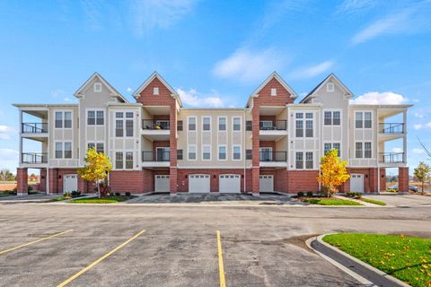 12834 S White Willow Drive 207 Plainfield IL 60585