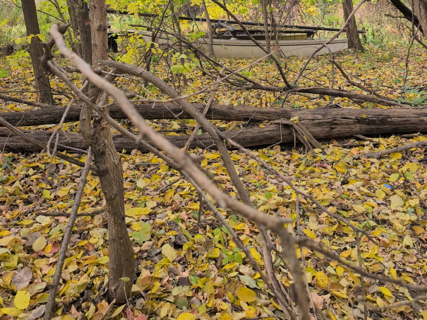 1213 W Park Front Street