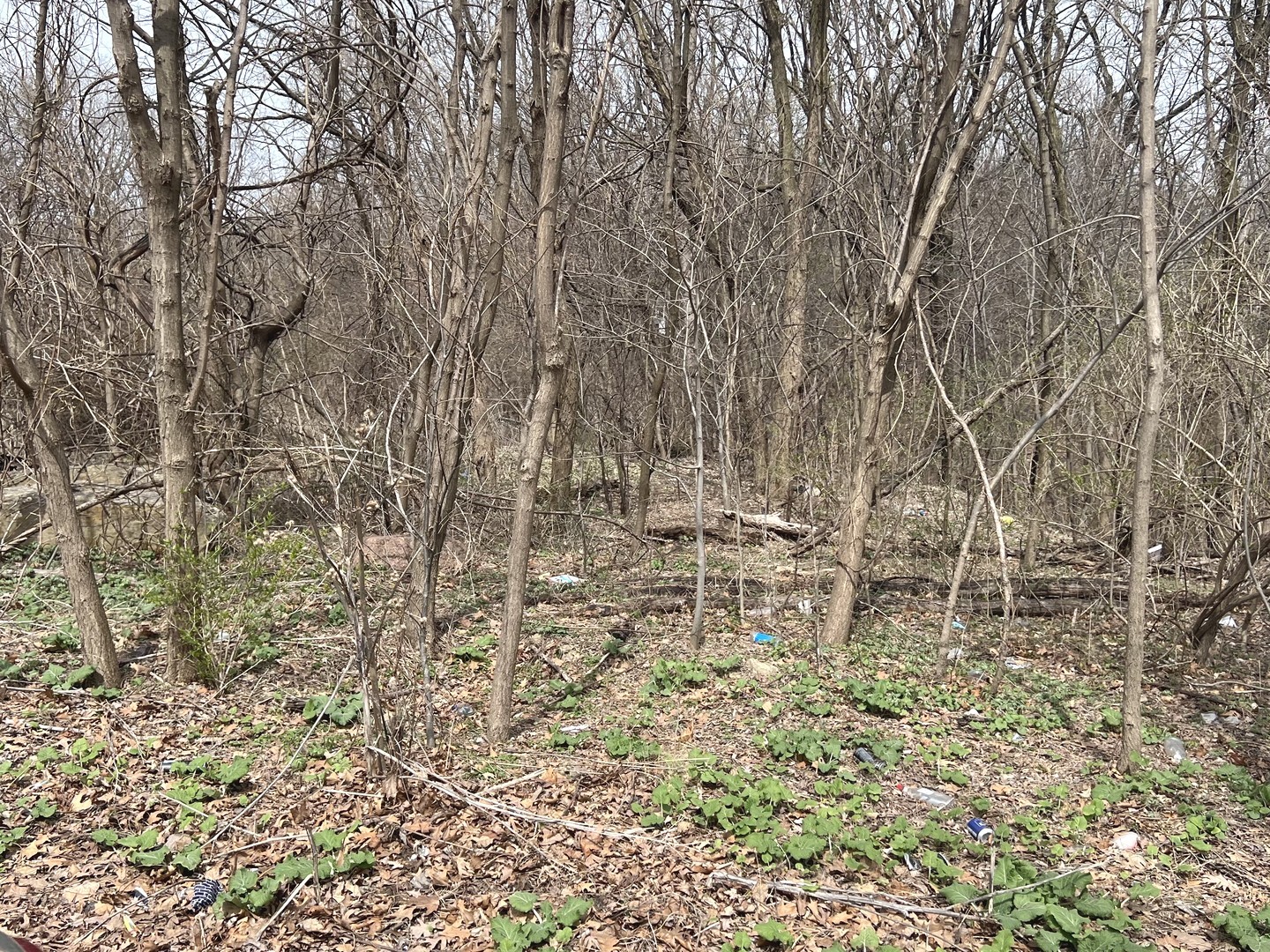 1213 W Park Front Street