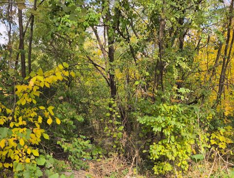 1213 W Park Front Street Joliet IL 60436