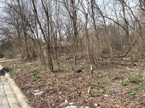 1213 W Park Front Street Joliet IL 60436