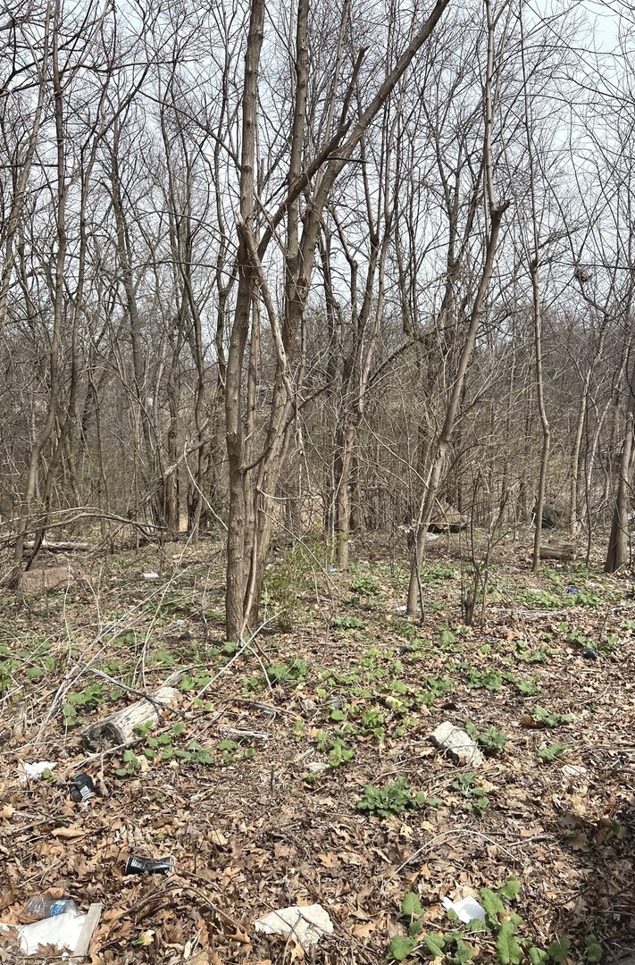 1213 W Park Front Street