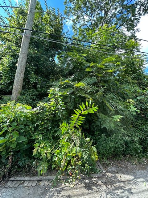 Tiny photo for 10217 S Wallace Street, Chicago, IL 60628 (MLS # 12467892)
