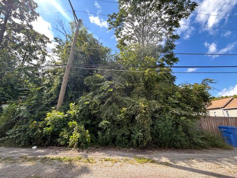 Tiny photo for 10217 S Wallace Street, Chicago, IL 60628 (MLS # 12467892)