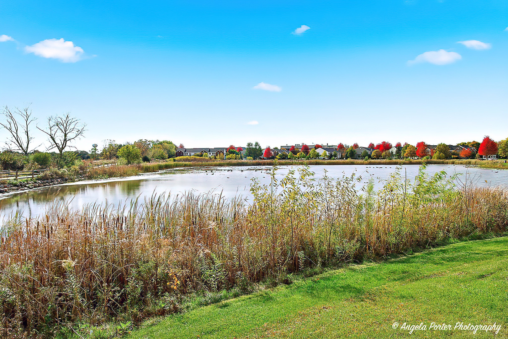 327 S Litchfield Drive 327