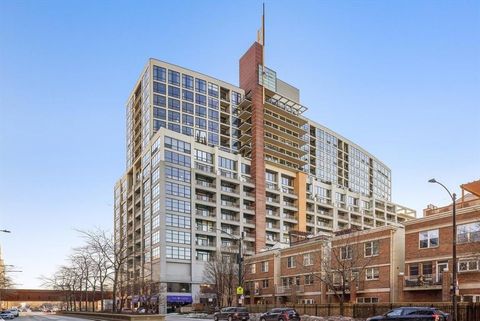 1530 S State Street 525 Chicago IL 60605