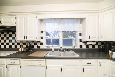 Tiny photo for 527 W Madison Street, Belvidere, IL 61008 (MLS # 12527901)