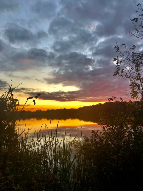 Tiny photo for 106 Queens Cove Drive #106, Barrington, IL 60010 (MLS # 12696654)