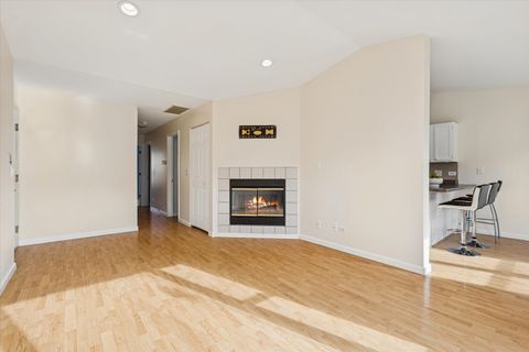 Tiny photo for 1101 YORKSHIRE Court #C, Elgin, IL 60120 (MLS # 12513699)