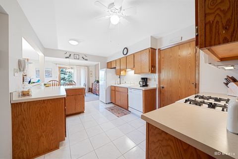 Tiny photo for 11101 Louetta Lane, Orland Park, IL 60467 (MLS # 12496681)