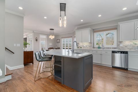 Tiny photo for 21344 W Windsor Drive, Kildeer, IL 60047 (MLS # 12582504)