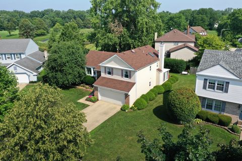 412 Chateau Drive Buffalo Grove IL 60089