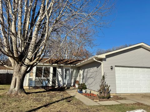 Photo of 214 Orleans Street, Carpentersville, IL 60110 (MLS # 12536135)