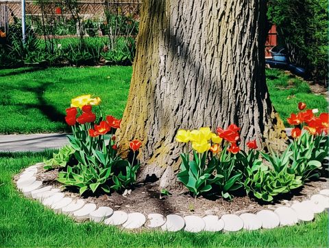 Tiny photo for 18547 Lexington Avenue, Homewood, IL 60430 (MLS # 12585725)