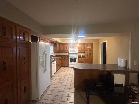 Tiny photo for 728 E 4TH Street, Flora, IL 62839 (MLS # EB458911)