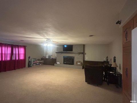 Tiny photo for 728 E 4TH Street, Flora, IL 62839 (MLS # EB458911)