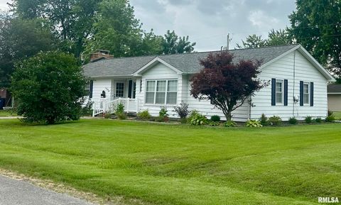Tiny photo for 728 E 4TH Street, Flora, IL 62839 (MLS # EB458911)
