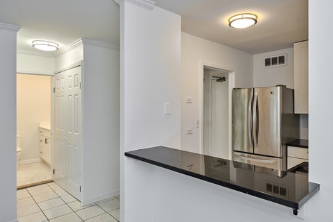 Tiny photo for 88 W Schiller Street #3007, Chicago, IL 60610 (MLS # 12726082)