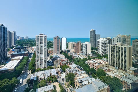 Tiny photo for 88 W Schiller Street #3007, Chicago, IL 60610 (MLS # 12726082)