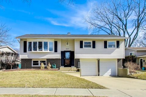 1107 N Greenfield Lane Mount Prospect IL 60056