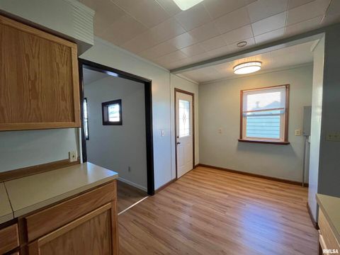 Tiny photo for 613 W 9TH Avenue, Milan, IL 61264 (MLS # QC4269434)