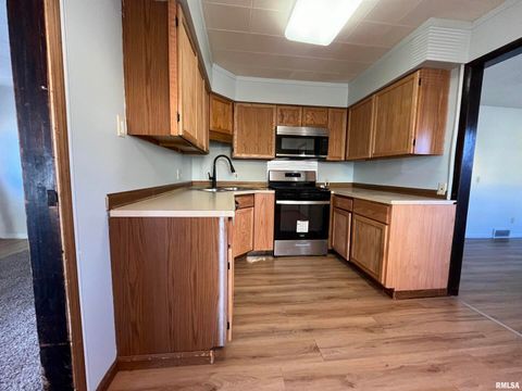 Tiny photo for 613 W 9TH Avenue, Milan, IL 61264 (MLS # QC4269434)