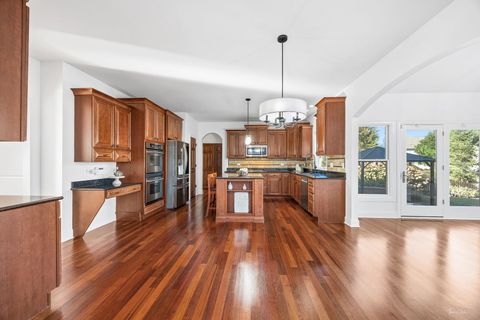 Tiny photo for 12929 Alpine Way, Plainfield, IL 60585 (MLS # 12443159)