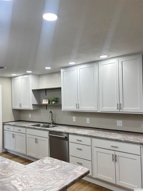 Tiny photo for 20 Randolph, Carthage, IL 62321 (MLS # 12471653)