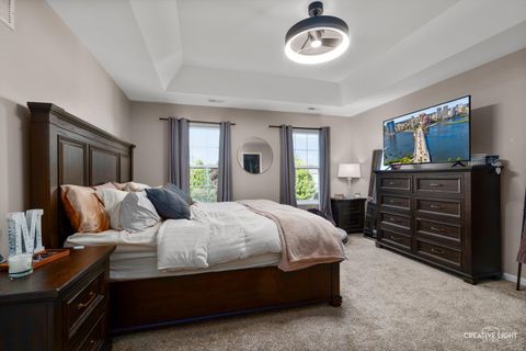 Tiny photo for 8102 Wood River Street, Joliet, IL 60431 (MLS # 12484503)