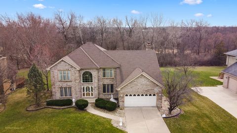 Photo of 7233 SOUTHWICK Drive, Frankfort, IL 60423 (MLS # 12603142)
