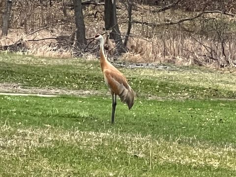 Tiny photo for 2030 Burke Drive, Winthrop Harbor, IL 60096 (MLS # 12464041)