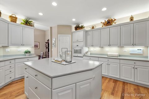 Tiny photo for 4 Mohawk Drive, South Barrington, IL 60010 (MLS # 12627995)