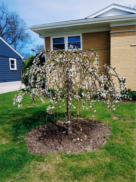 Tiny photo for 18547 Lexington Avenue, Homewood, IL 60430 (MLS # 12634230)