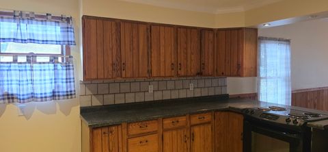 Tiny photo for Paxton, IL 60957 (MLS # 12531373)