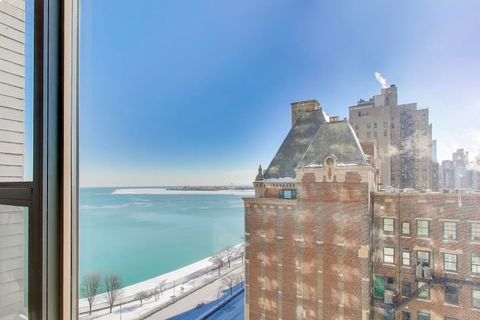 Tiny photo for Chicago, IL 60610 (MLS # 12557661)