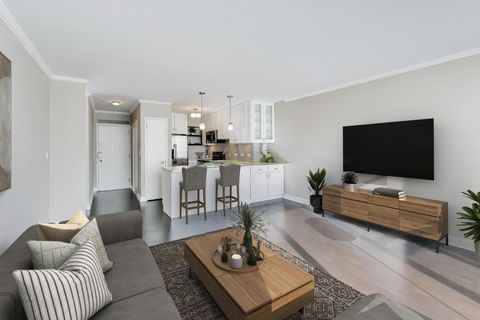 Tiny photo for Chicago, IL 60610 (MLS # 12557661)