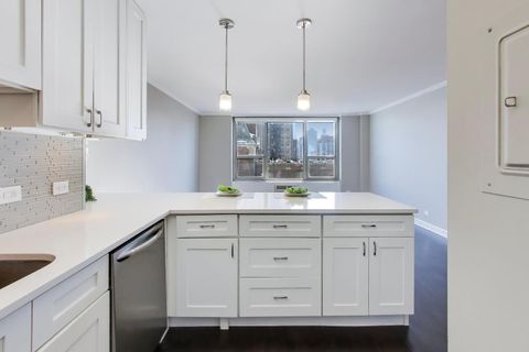 Tiny photo for Chicago, IL 60610 (MLS # 12557661)