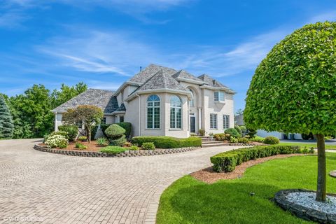 Photo of 8060 Kristo Lane, Orland Park, IL 60462 (MLS # 12620020)