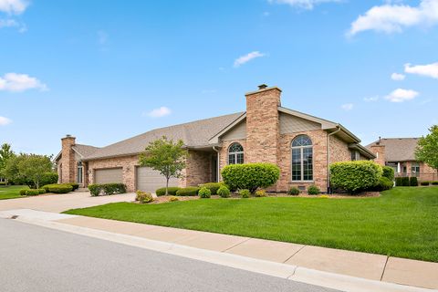 21205 Arbour Walk Drive Frankfort IL 60423