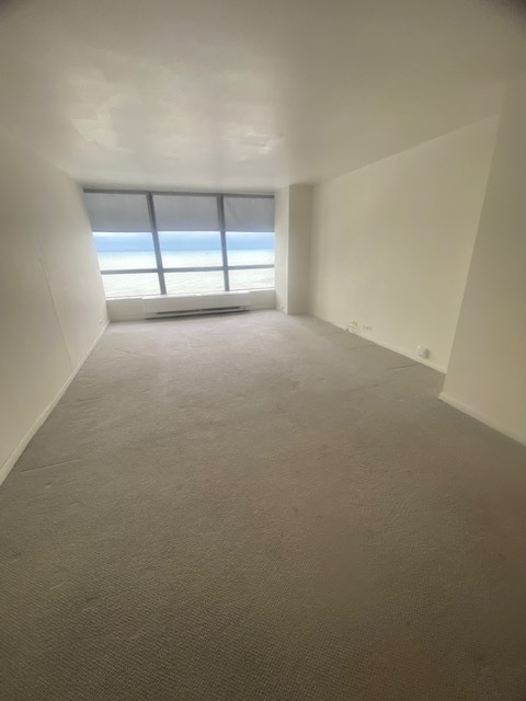 5415 N Sheridan Road 4502